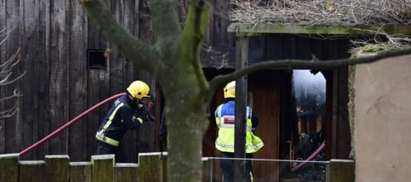 Video: Londýnsku zoologickú záhradu zachvátil požiar, štyri surikaty sú nezvestné