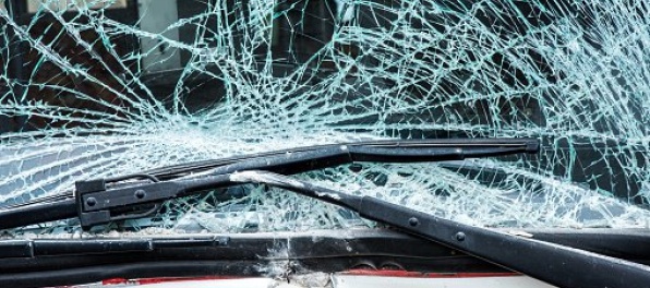 Cesta medzi Starou Ľubovňou a Hniezdnym bola neprejazdná, jeleň spôsobil nehodu dvoch áut