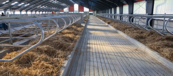 Agrošmejdi na slovenských družstvách