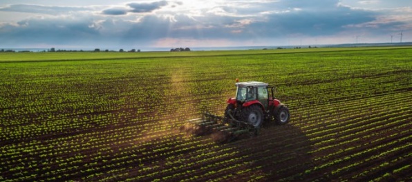 Vláda schválila systém podpory v poľnohospodárstve a postup poskytovania náhradných pozemkov