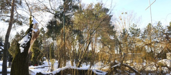 Friederike prinesie na Slovensko silný vietor so zrážkami, na horách hrozí víchrica