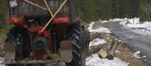 Lesníci budú ťažiť drevo na viacerých miestach v okolí Bratislavy