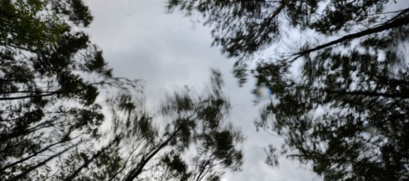 Pre niektoré okresy na Slovensku platí výstraha pred vetrom, na horách môže dosiahnuť silu orkánu