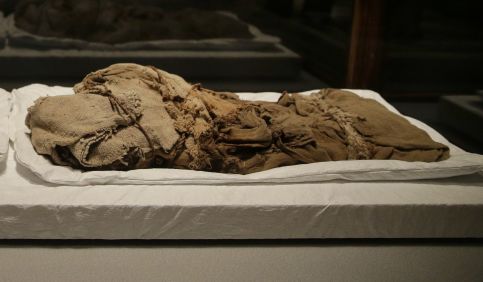 Vedcom sa podarilo rozlúštiť záhadu maličkej múmie z Atacamy