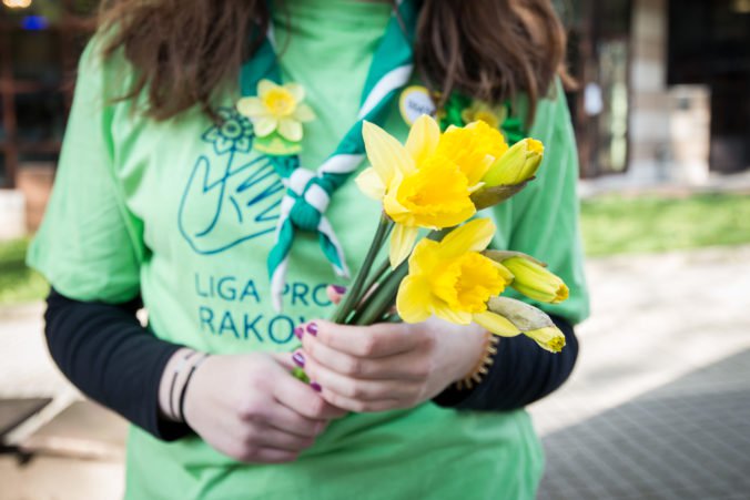 Slovensko sa zafarbilo na žlto, Deň narcisov pomáha onkologickým pacientom