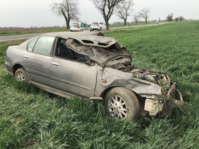 Vodič po náraze do stromu na mieste zomrel, polícia hľadá svedkov nehody