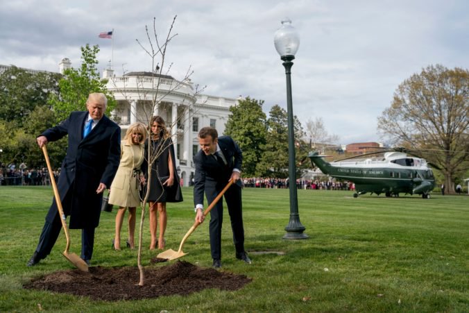 Strom, ktorý Macron s Trumpom zasadili v záhrade Bieleho domu, zmizol
