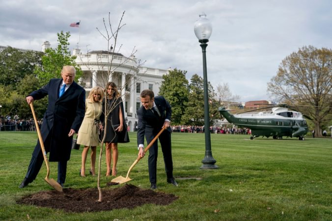 Záhada stromu zasadeného Macronom a Trumpom sa vyriešila, vykopali ho a skončil v karanténe