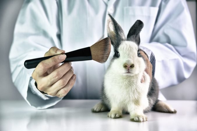 Brusel žiada zákaz testovania kozmetiky na zvieratách, podobný postoj očakáva aj od štátov Únie