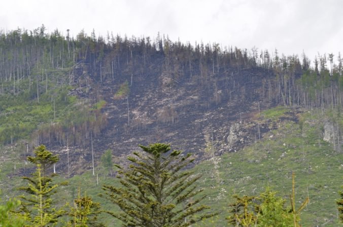 Škody po požiari v Tatrách sa vyšplhali nad milión eur, obnova lesa si vyžiada ďalšiu investíciu
