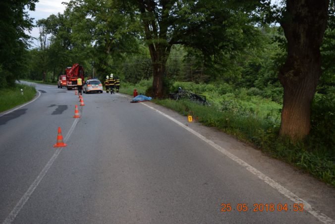 Foto: Vodič Fabie zišiel medzi Prešovom a časťou Cemjata z cesty a narazil do stromu