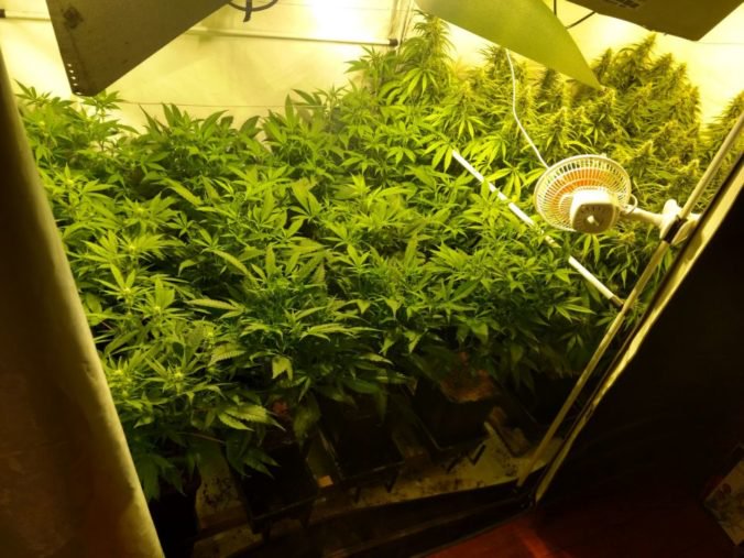 Foto: V Čiernom Balogu našli laboratórium na pestovanie marihuany, polícia podozrieva jednu osobu