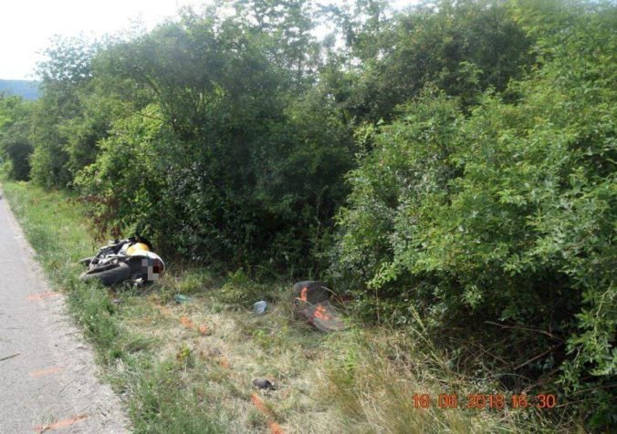 Foto: Polícia hľadá svedkov nehody, motocyklistovi vbehla do cesty srna