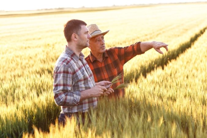 Nemeckí farmári očakávajú slabú úrodu obilia v dôsledku dlhotrvajúceho sucha