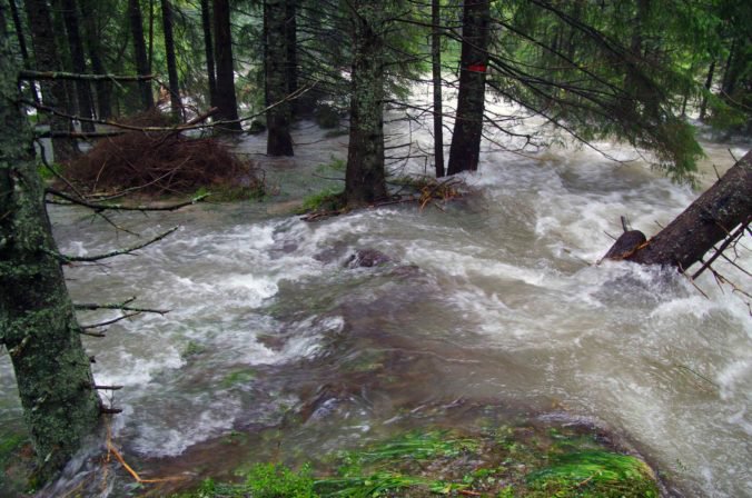 Foto: Za povodeň vo Vysokých Tatrách môže podľa lesníkov odumretý les, ochranári však nesúhlasia