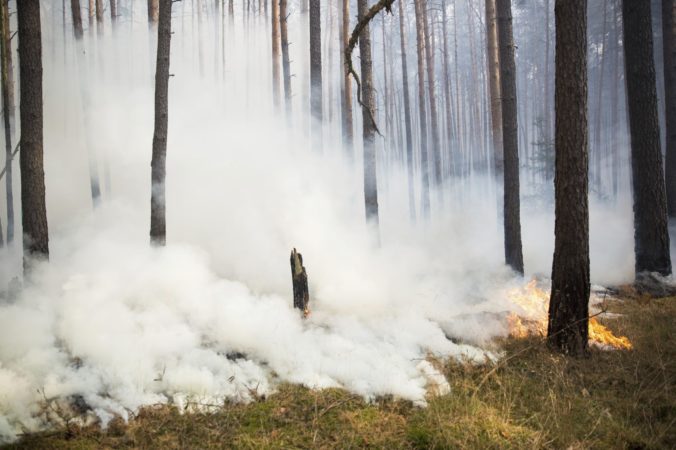 Nemeckí hasiči dostali pod kontrolu lesný požiar, hasenie však komplikovala nevybuchnutá munícia
