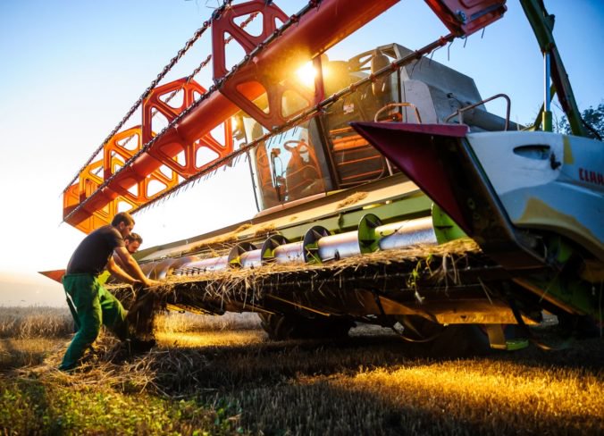 Slovenskí mlynári avizujú, že pre sucho a nižšiu úrodu obilia ceny ich výrobkov stúpnu
