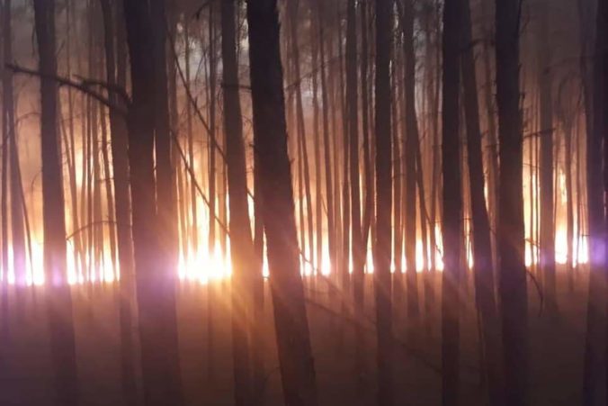 Foto: Pre šíriaci sa veľký lesný požiar evakuovali niekoľko obcí v Nemecku, príčinou je aj sucho