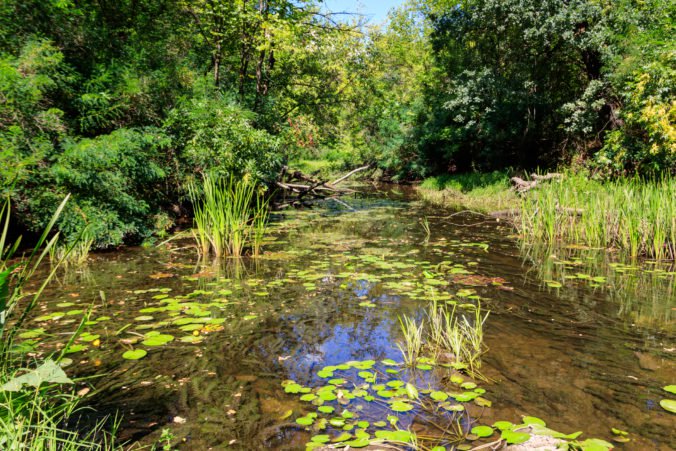 Ochranári na Veľkolélskom ostrove zrekonštruovali kanál a vytvorili mokrade, aby zachovali biotop