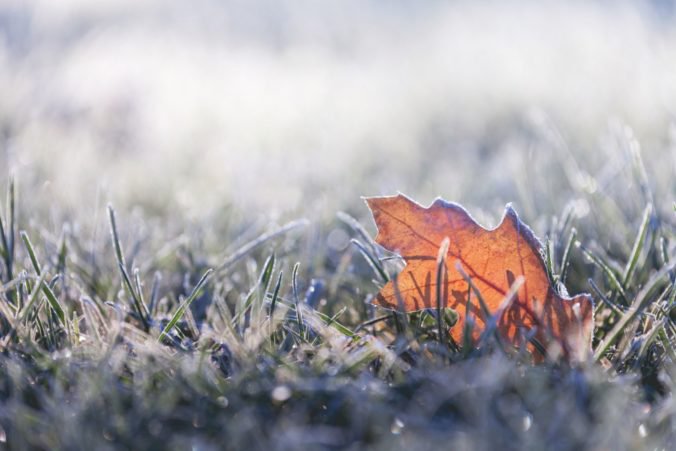 Meteorológovia varujú pred prízemným mrazom na Slovensku, vydali výstrahy prvého stupňa