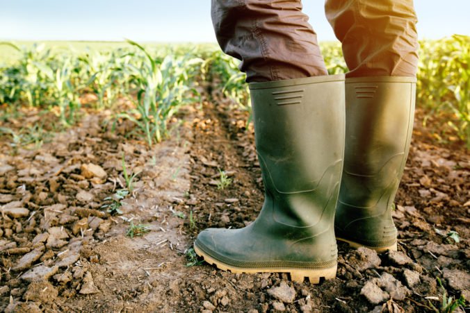 Farmárom poškodeným suchom by mal štát vyplatiť 34 miliónov eur