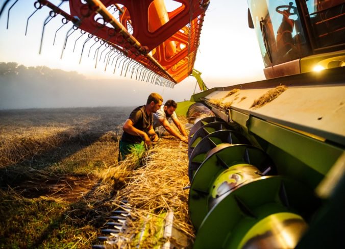Sucho prispelo k poklesu produkcie obilnín v Európe, najväčšiu stratu zaznamenali pri pšenici