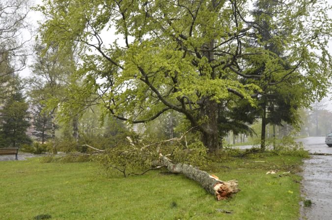 Silný vietor v Tatrách vyvrátil tisícky stromov, lesníci rátajú škody