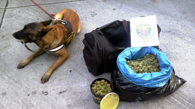 Foto: Colníci našli v českom aute viac ako dva kilogramy marihuany, obvinený Zdenko sa priznal