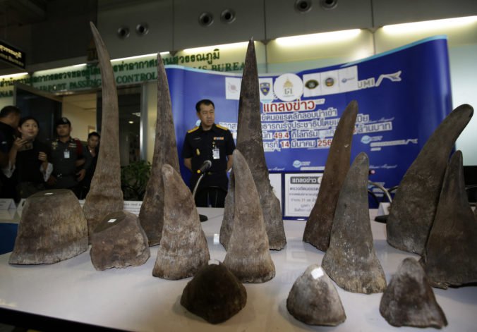 V Thajsku odsúdili trojicu páchateľov za pašovanie rohov nosorožcov z Etiópie
