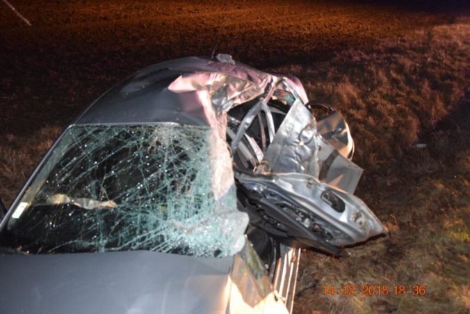 Pri dopravnej nehode v okrese Michalovce zahynul vodič, muž s autom narazil do stromu