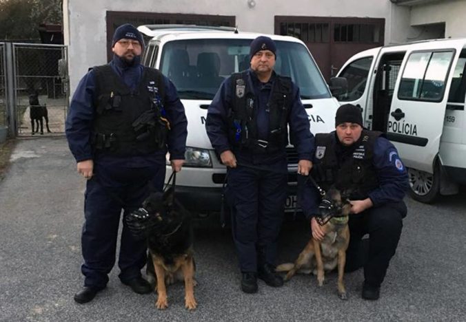 Bratislavskí mestskí policajti pomohli mužovi v bezvedomí