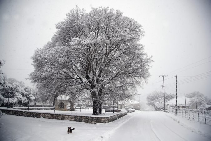 Zimné počasie v Európe si vyžiadalo už dvanásť obetí a v Grécku pre sneženie zatvorili školy