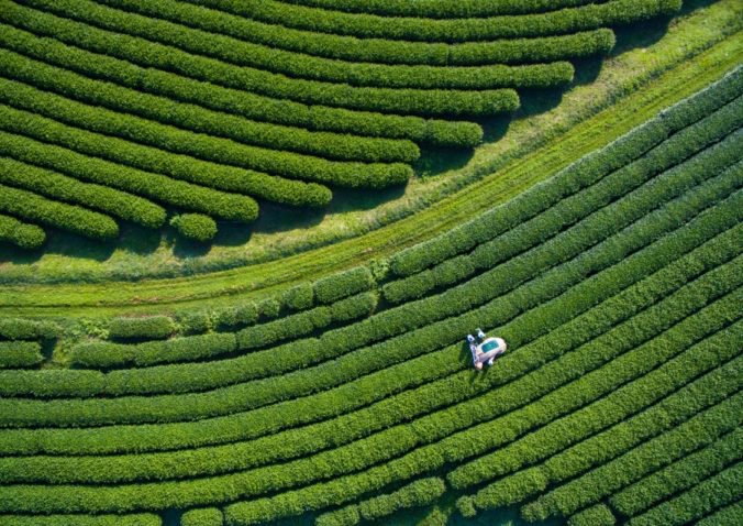 Corteva Agriscience bude pôsobiť aj na Slovensku