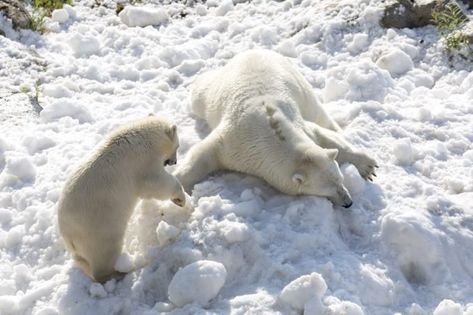 V Laponsku namerali najnižšiu teplotu tejto zimy v Európe