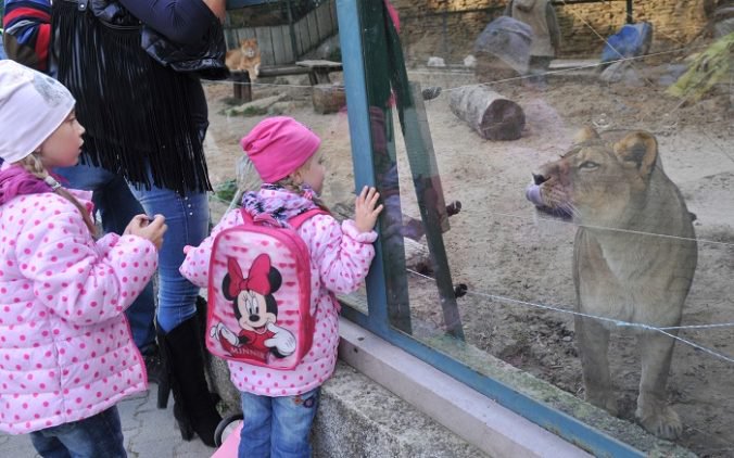 Školáci v Košiciach môžu cez jarné prázdniny navštíviť prímestské tábory aj skúsiť prácu v zoo