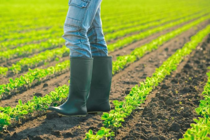 Slovenskému pozemkovému fondu doručili stovky žiadostí mladých farmárov o osobitný nájom pôdy