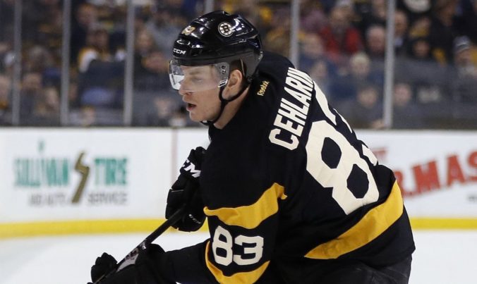 Boston Bruins preradil Cehlárika z NHL do farmárskeho tímu v Providence
