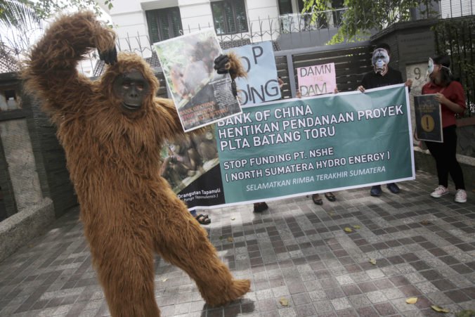 Ochranári v Indonézii prehrali súd, výstavba priehrady ohrozujúcej orangutany môže pokračovať