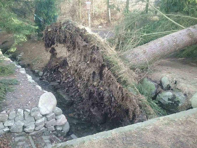 Foto: Slovensko potrápil silný vietor, hasiči pomáhali odstraňovať popadané stromy