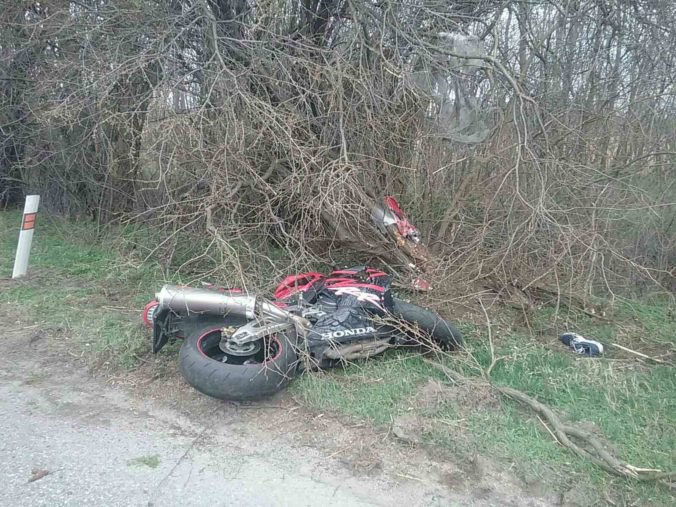 Foto: Motocyklista čelne narazil do stromu pri obci Nesvady, zasahovali aj leteckí záchranári