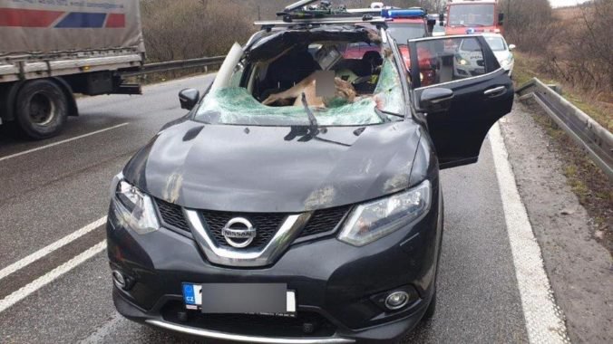 Foto: Pri Dubnej Skale sa stala hrôzostrašná nehoda, jelenica prerazila čelné sklo na aute