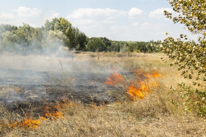 Pri obci Predajná horí tráva a les, zásah hasičov sťažuje aj vietor