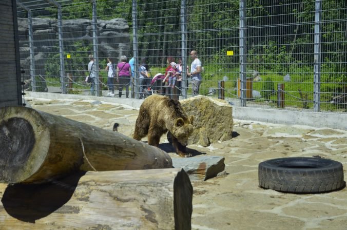 Najmenšia ZOO na Slovensku oslavuje 30 rokov, vlani ju navštívil rekordný počet ľudí