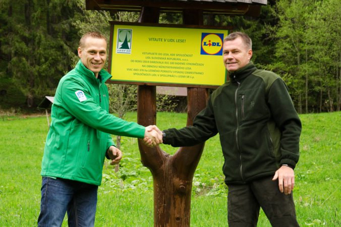 V Lidl lese rastie už viac ako 1 000 000 stromčekov