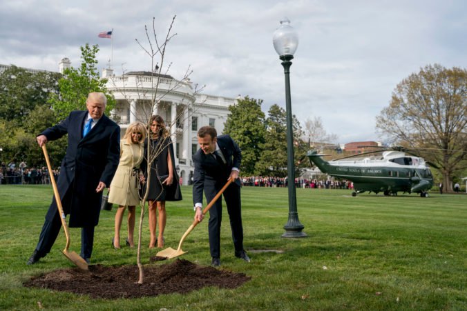 Symbolický dub Macrona a Trumpa uhynul, francúzsky prezident prisľúbil zaslať nový strom