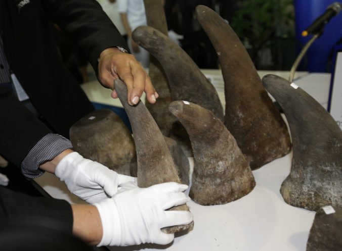 Afričania prepašovali rohy nosorožcov aj tony slonoviny, ukryli ich medzi sošky a masky