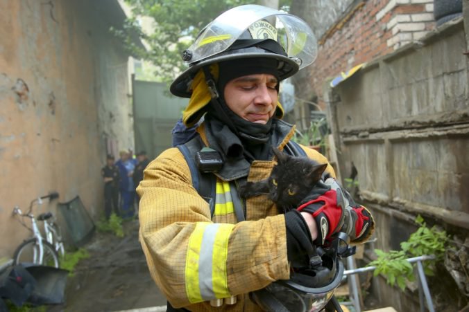 Útulok pre zvieratá v Petrohrade zasiahol požiar, hasiči zachránili stovky mačiek