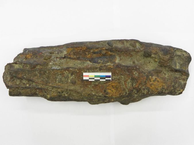 Foto: Rybár našiel vo Váhu zvláštny kameň, po očistení sa z neho vykľul vzácny archeologický nález