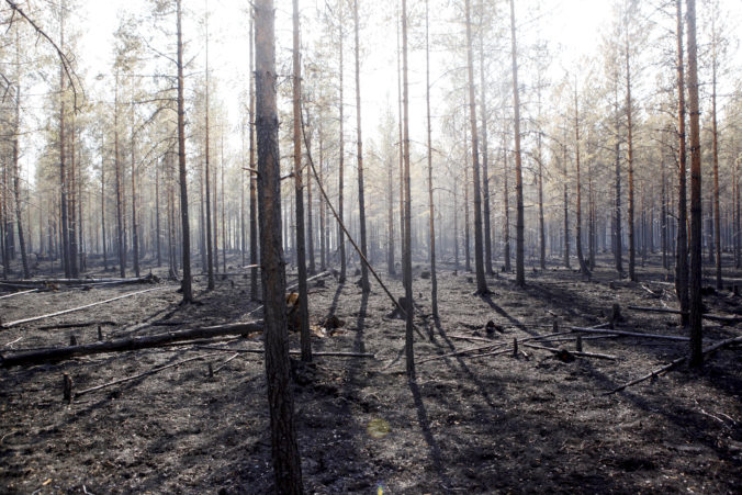 Nevídané lesné požiare pustošia Arktídu, podľa experta sú spôsobené zmenou klímy