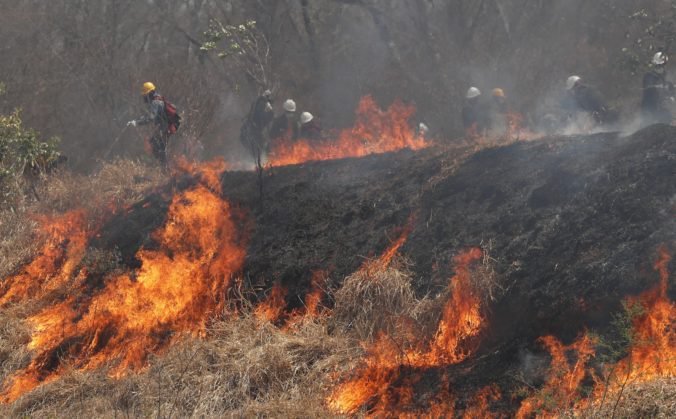 Lesné požiare v Bolívii zdevastovali aj biotop jaguárov a púm, ich korisť zahynula v plameňoch